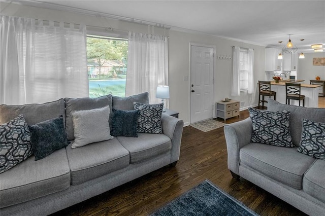 living room featuring dark hardwood / wood-style flooring and crown molding