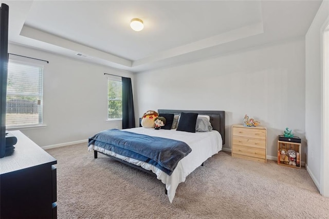81 Birch River Pointe, Dallas, GA 30132 - bedroom featuring a raised ceiling, carpet floors, and baseboards