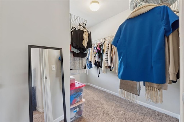 81 Birch River Pointe, Dallas, GA 30132 - spacious closet featuring carpet