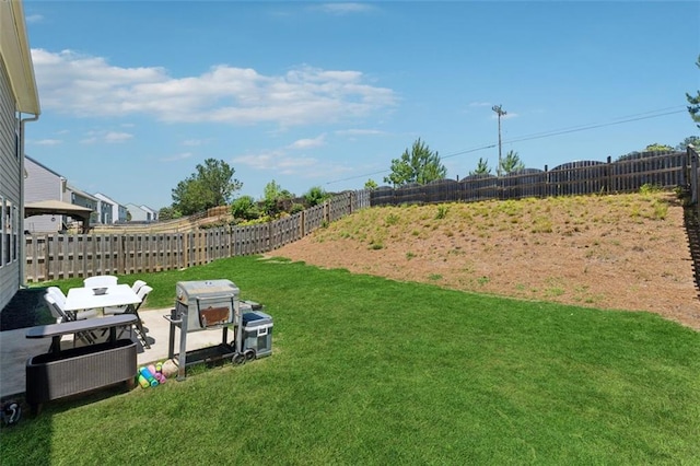 81 Birch River Pointe, Dallas, GA 30132 - view of yard featuring a patio