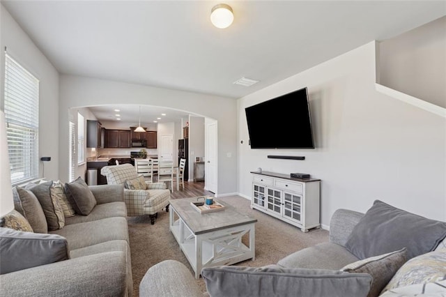 81 Birch River Pointe, Dallas, GA 30132 - living room featuring arched walkways, baseboards, and light colored carpet