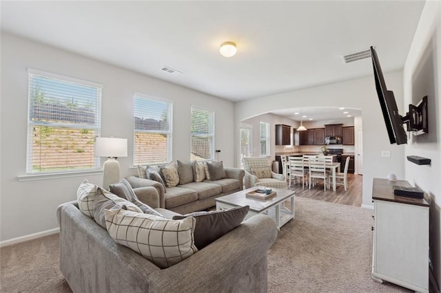 81 Birch River Pointe, Dallas, GA 30132 - living room featuring arched walkways, baseboards, and light carpet