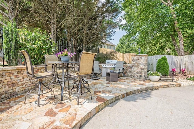 113 Gold Bridge Xing, Canton, GA 30114 - fenced backyard featuring a patio area, area for grilling, and outdoor dining area