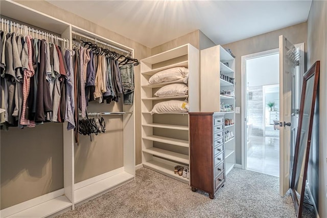 113 Gold Bridge Xing, Canton, GA 30114 - spacious closet featuring carpet
