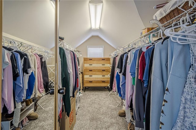 113 Gold Bridge Xing, Canton, GA 30114 - spacious closet with vaulted ceiling and carpet flooring