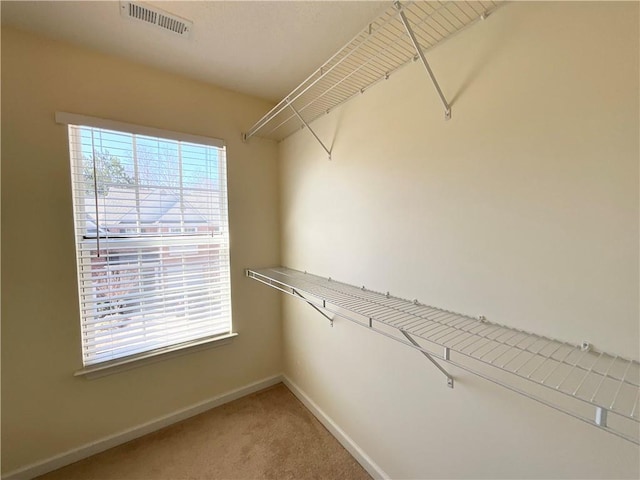 spacious closet with carpet and visible vents