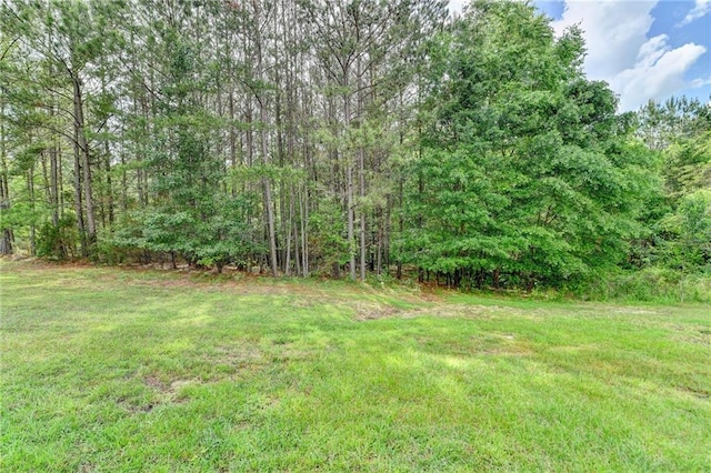 view of green lawn with a view of trees