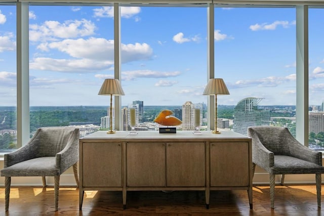 living area featuring floor to ceiling windows and dark wood-type flooring