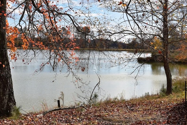 view of water feature