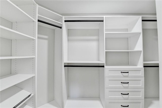 view of walk in closet