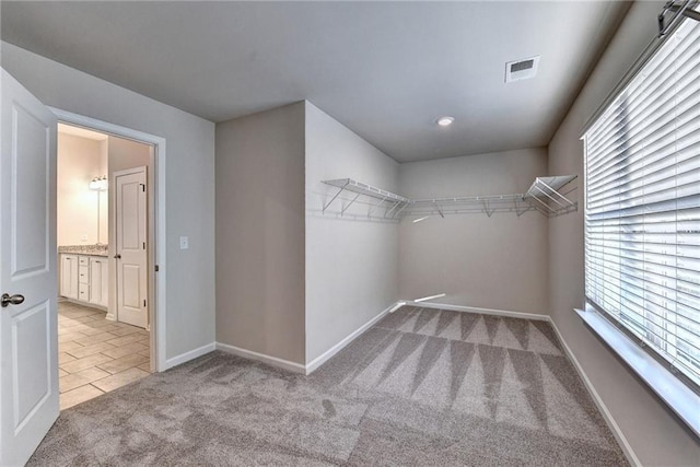 spacious closet with light colored carpet