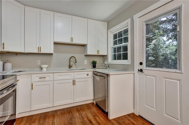 kitchen with sink, dishwasher, wood-type flooring, and white cabinetry