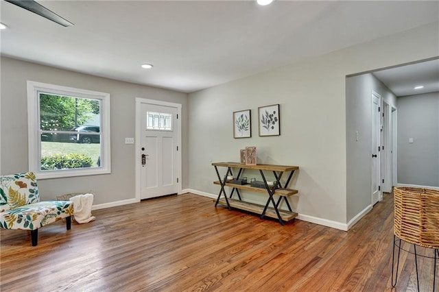 foyer entrance featuring wood-type flooring