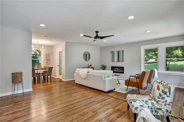 living room featuring ceiling fan with notable chandelier and light hardwood / wood-style floors