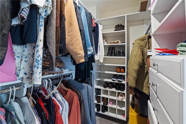 view of spacious closet