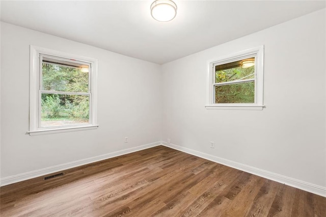 spare room featuring a wealth of natural light and wood-type flooring