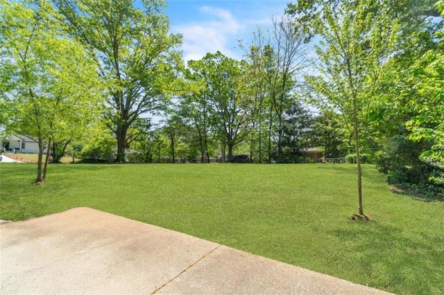 view of yard with a patio area