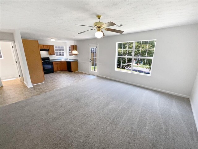 509 Carlton Pointe Dr, Palmetto, GA 30268