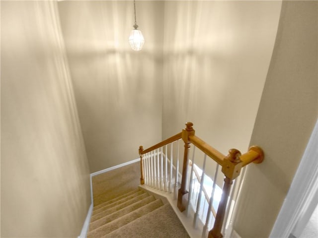 stairs with carpet floors