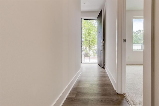 hall featuring dark hardwood / wood-style flooring and a wealth of natural light