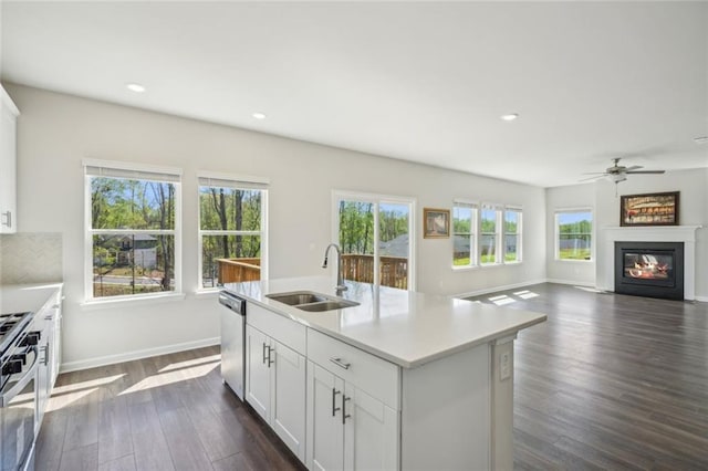 164 Long Leaf St, Dawsonville, GA 30534 - kitchen with a sink, light countertops, stainless steel appliances, dark wood-type flooring, and a glass covered fireplace