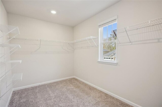 164 Long Leaf St, Dawsonville, GA 30534 - spacious closet with carpet flooring
