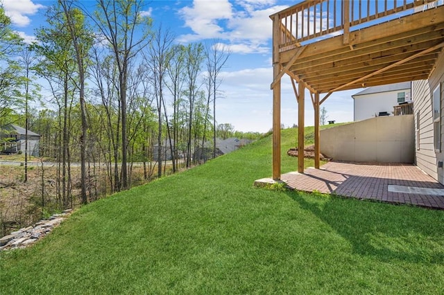 164 Long Leaf St, Dawsonville, GA 30534 - view of yard with a patio area and a wooden deck