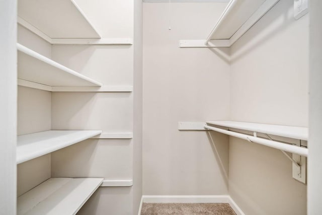 walk in closet with carpet flooring