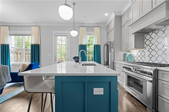 kitchen with premium range hood, a kitchen island with sink, light countertops, and premium appliances