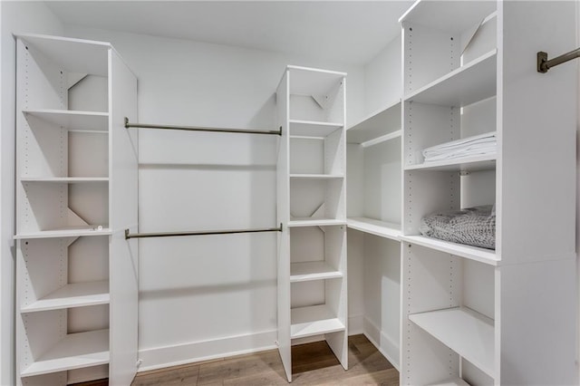 spacious closet featuring wood-type flooring