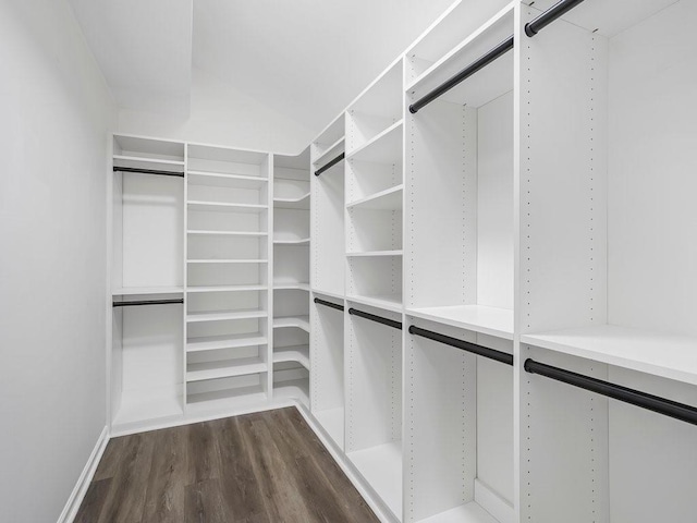 3100 Mount Gilead Rd SW, Atlanta, GA 30311 - walk in closet with dark wood-style flooring