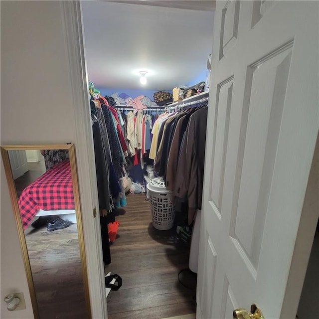 walk in closet with wood finished floors