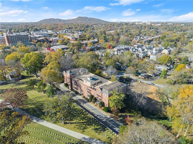 birds eye view of property featuring a mountain view