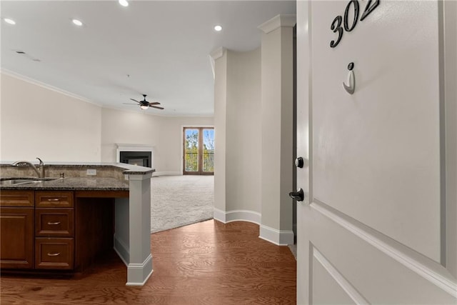 kitchen with sink, crown molding, ceiling fan, dark stone countertops, and dark hardwood / wood-style flooring