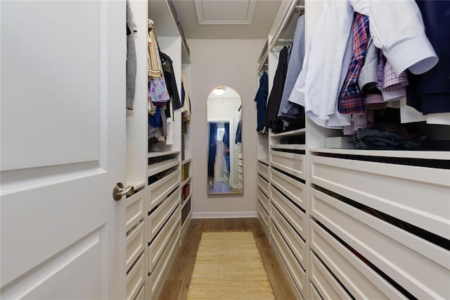 451 Burton Dr Unit 32, Alpharetta, GA 30009 - walk in closet with light wood-style floors