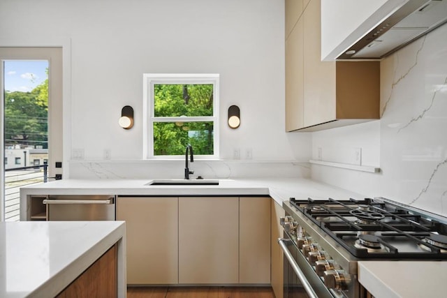 kitchen featuring wall chimney range hood, a wealth of natural light, stainless steel appliances, and a sink