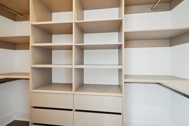view of walk in closet