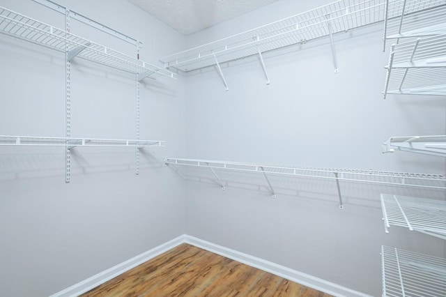 spacious closet with wood-type flooring