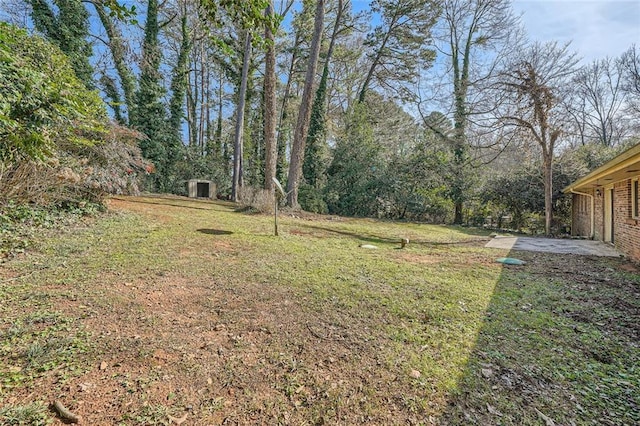 view of yard with a patio