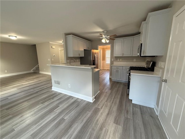 kitchen with appliances with stainless steel finishes, light hardwood / wood-style flooring, ceiling fan, sink, and kitchen peninsula