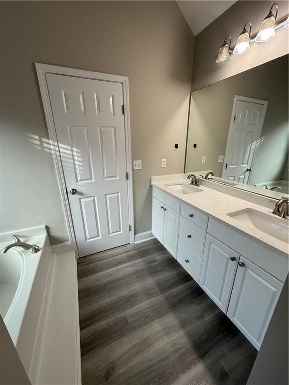 bathroom featuring a bathing tub, vanity, and wood-type flooring