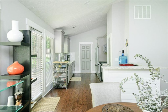 787 Mckendree Lake Way, Lawrenceville, GA 30043 - dining area with vaulted ceiling, dark wood-style floors, and a textured ceiling