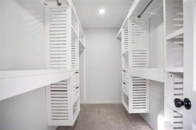 walk in closet featuring carpet flooring