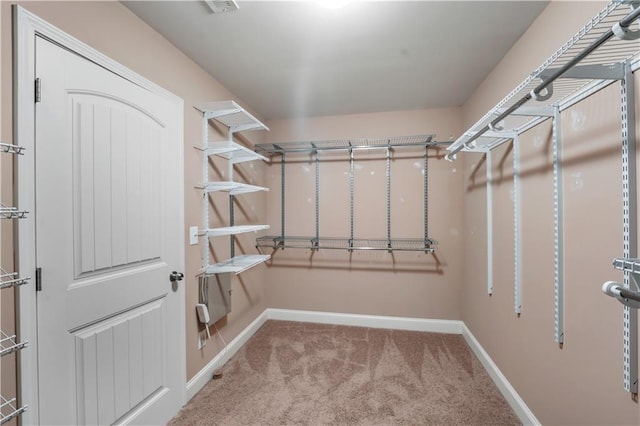 spacious closet with carpet flooring