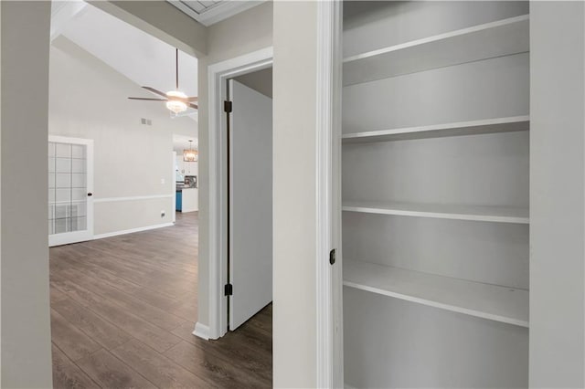 558 Newlin Ct, Lawrenceville, GA 30046 - view of closet