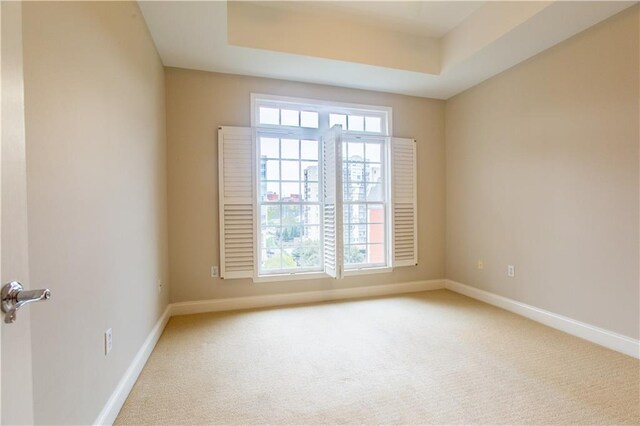 spare room featuring a tray ceiling, carpet flooring, and plenty of natural light