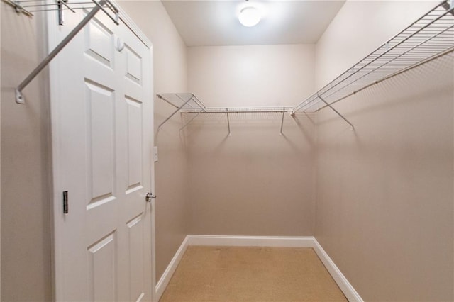 spacious closet with carpet