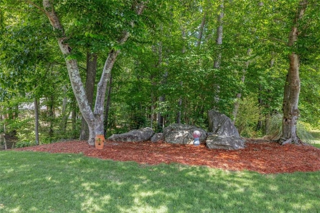 65 Millennial Ct, Lawrenceville, GA 30045 - view of green lawn