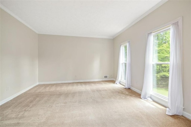65 Millennial Ct, Lawrenceville, GA 30045 - empty room with crown molding, light carpet, and baseboards