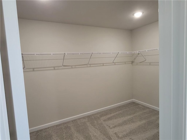 spacious closet featuring carpet floors